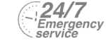 24/7 Emergency Service Pest Control in Egham, Englefield Green, TW20. Call Now! 020 8166 9746
