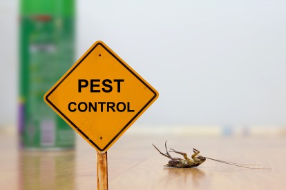 Pest Contol in Egham, Englefield Green, TW20. Call Now 020 8166 9746